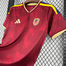 Mens Venezuela 2026 World Cup Home Jersey(39D4)