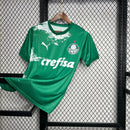 Palmeiras 2024∕25 Special Edition Green and white Jersey(53FC)