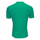 Camisa Palmeiras Treino 25/26  Verde