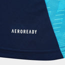 Camisa Flamengo Regata Treino 25/26 Azul Marinho (cópia)