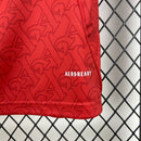 Arsenal 2025∕26 Home Jersey(529B)