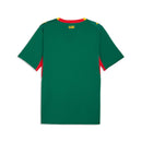 Jersey Seleção Senegal 2026 Torcedor Masculina - Verde